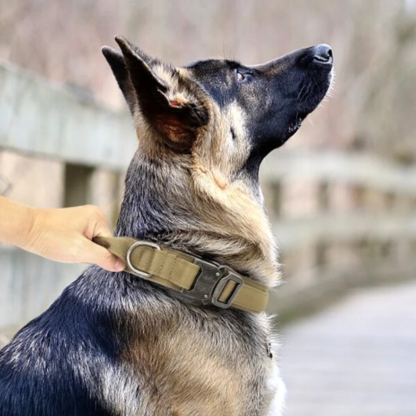 Collar táctico duradero para perro, talla M