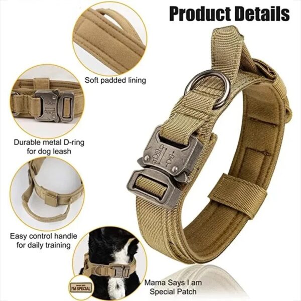 Collar táctico duradero para perro, talla M